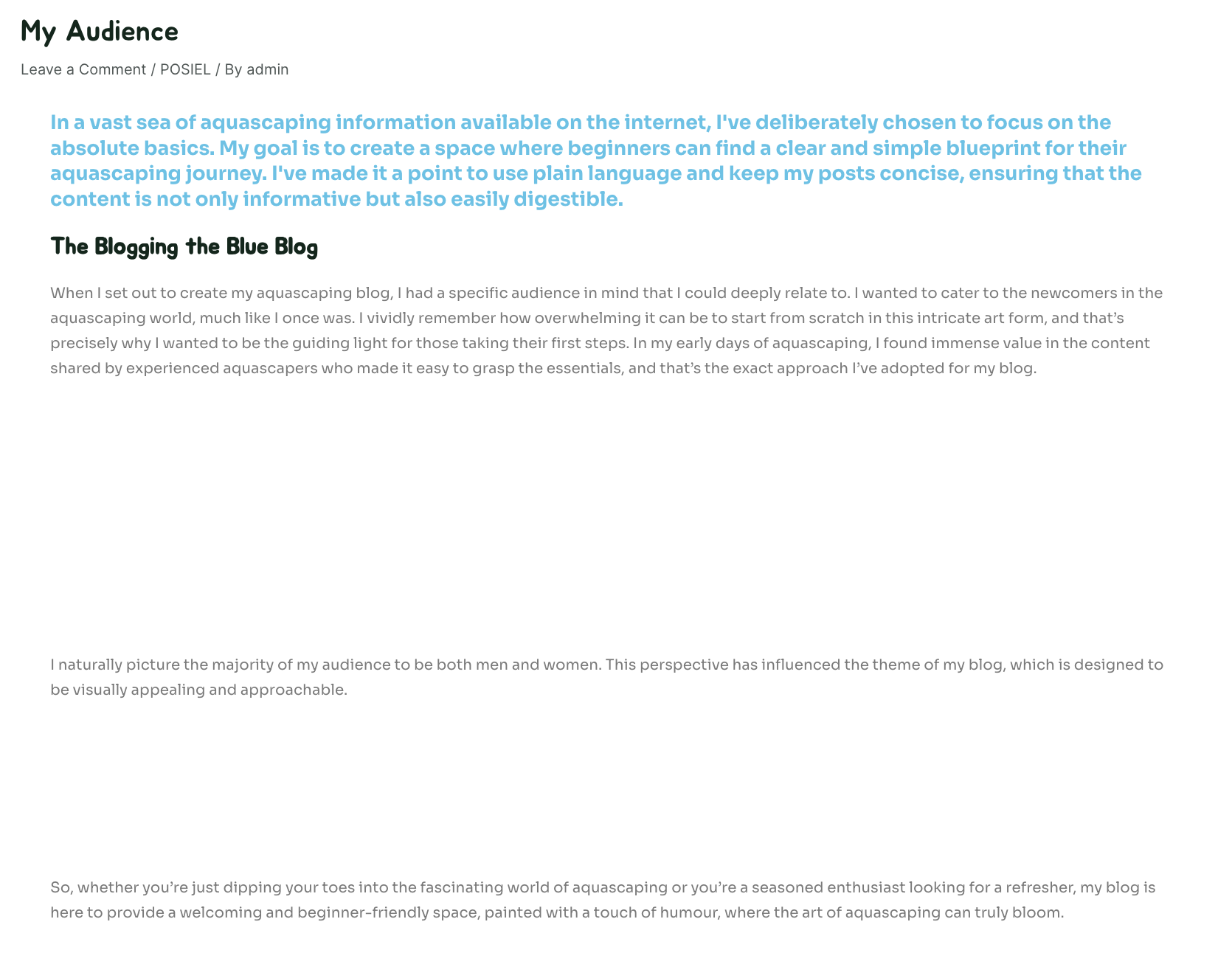 screenshot of process post 1 from the website showing lots of unsed whitespace between paragraphs