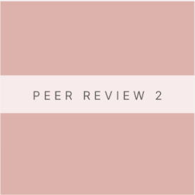 Peer Review 2