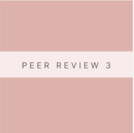 Peer Review 3